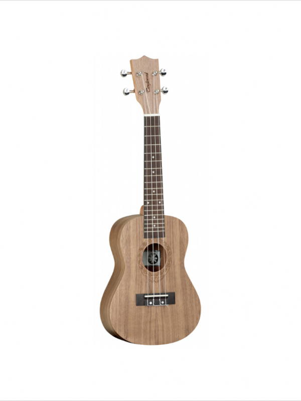 Đàn Ukulele Deviser TWT3