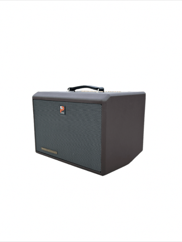 Loa Da Xách Tay Prosing